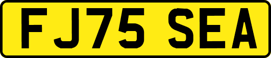 FJ75SEA