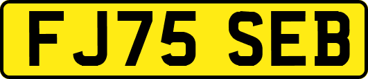 FJ75SEB