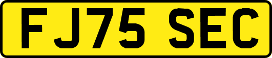 FJ75SEC