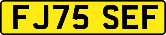 FJ75SEF