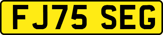 FJ75SEG