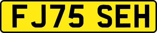 FJ75SEH