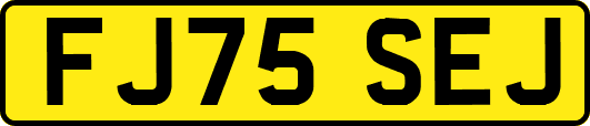 FJ75SEJ