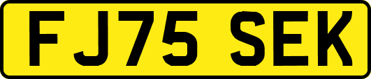 FJ75SEK