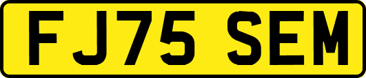 FJ75SEM