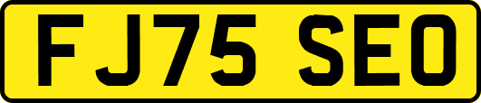 FJ75SEO
