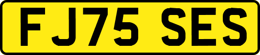 FJ75SES