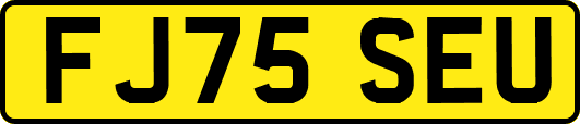 FJ75SEU