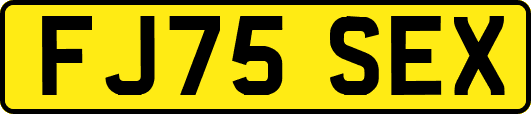 FJ75SEX