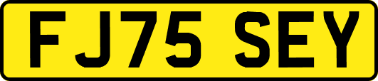 FJ75SEY