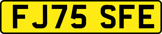 FJ75SFE