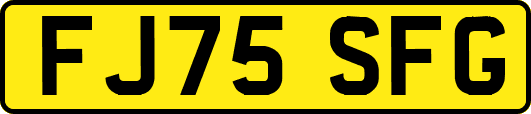 FJ75SFG