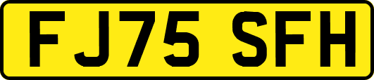 FJ75SFH