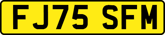 FJ75SFM