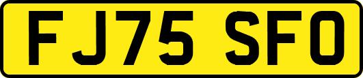 FJ75SFO