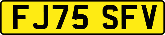 FJ75SFV