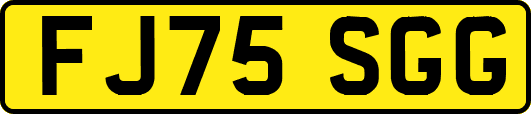 FJ75SGG