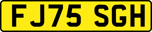 FJ75SGH