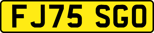 FJ75SGO