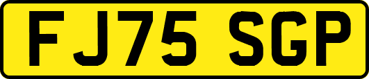 FJ75SGP