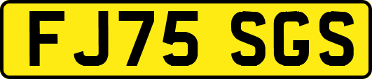 FJ75SGS