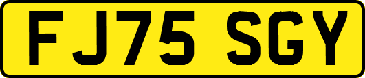 FJ75SGY