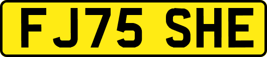 FJ75SHE