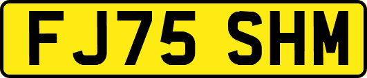 FJ75SHM