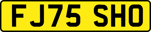 FJ75SHO