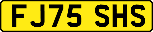 FJ75SHS
