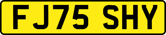 FJ75SHY