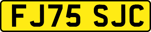 FJ75SJC