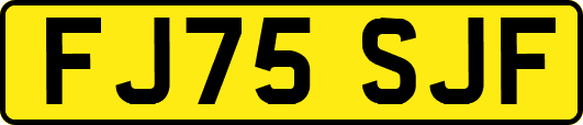 FJ75SJF