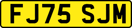 FJ75SJM