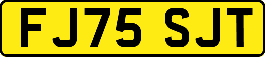 FJ75SJT