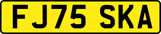 FJ75SKA