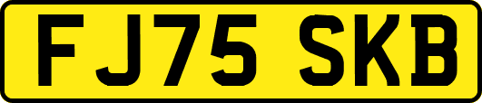 FJ75SKB