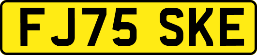 FJ75SKE