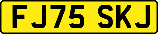 FJ75SKJ