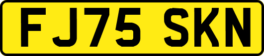 FJ75SKN