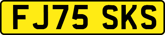 FJ75SKS
