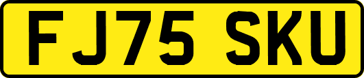 FJ75SKU