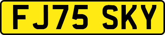 FJ75SKY