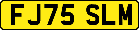FJ75SLM
