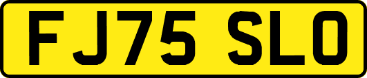 FJ75SLO