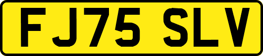 FJ75SLV