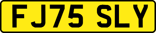 FJ75SLY