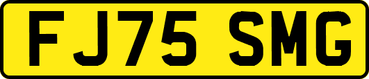 FJ75SMG