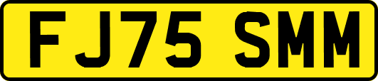 FJ75SMM