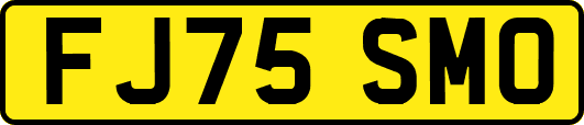 FJ75SMO